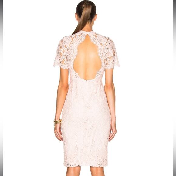 NWT ALEXIS Ardella Lace Sheath Dress - Picture 4 of 12
